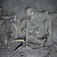 El esqueleto de un mono araña de 1.700 años encontrado en Teotihuacán